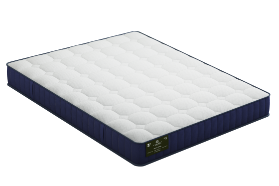 Saltea Terra